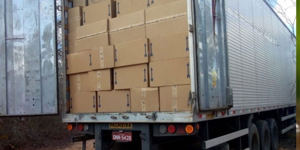 Baratas podem ser transportadas em caminhão 