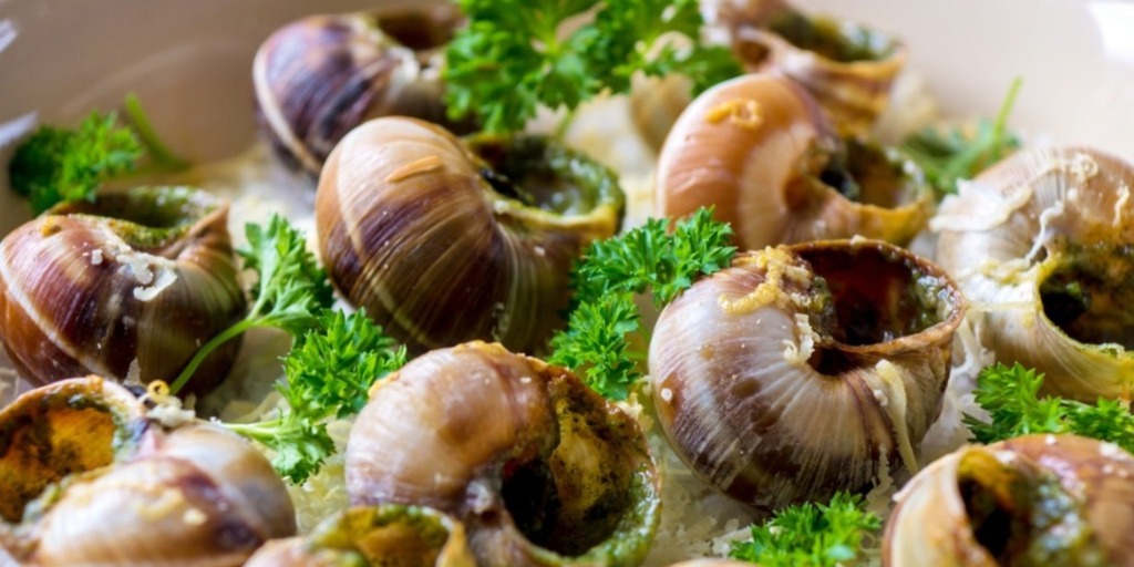Caramujos e caracóis: escargot usado na alimentação. 